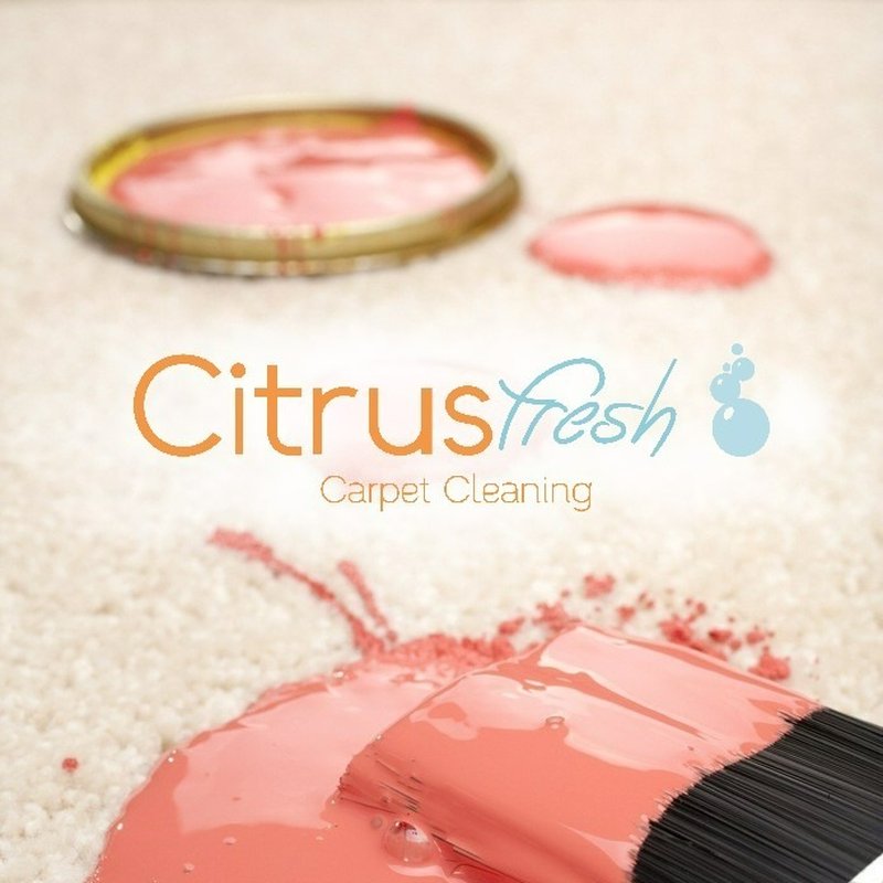 CITRUS FRESH CARPET CLEANING Updated October 2024 81 Photos & 301 Reviews 175 W Wieuca Rd