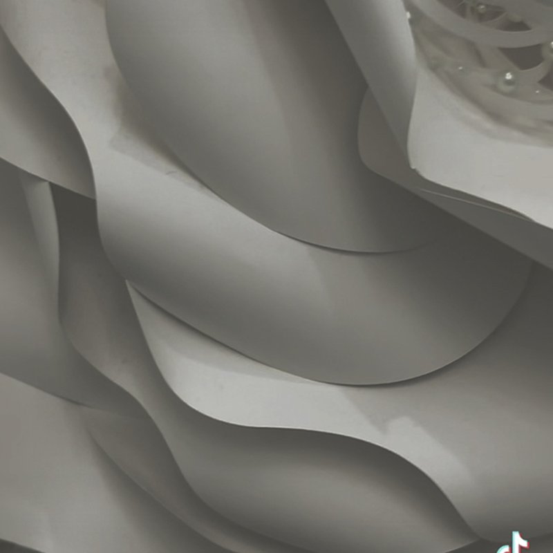 A Glimpse of Bliss✨