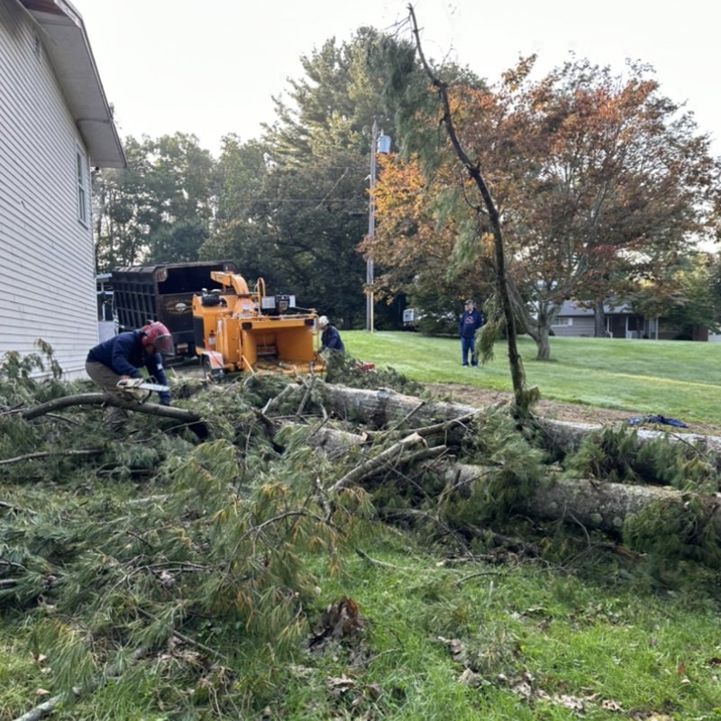 EDGAR AND SONS Updated September 2024 94 Photos & 46 Reviews 40