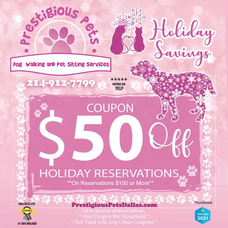 Enjoy a festive 50% off! ❄️