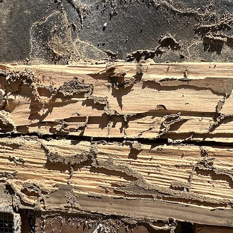 OCEANVIEW TERMITE & PEST CONTROL - Updated May 2026 - 15 Reviews - Los ...