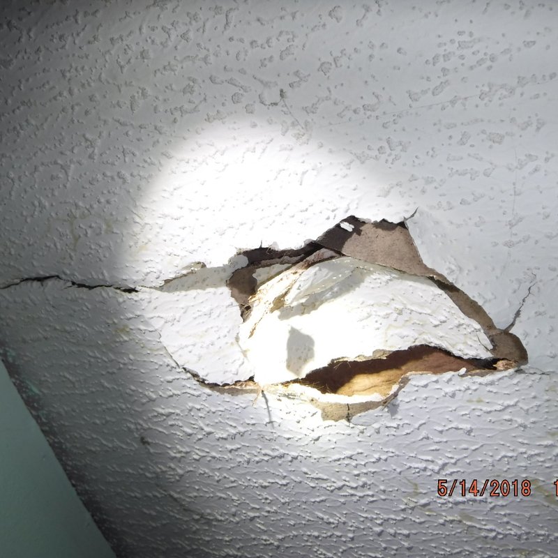 COIT CLEANING AND RESTORATION Updated October 2024 38 Photos & 30