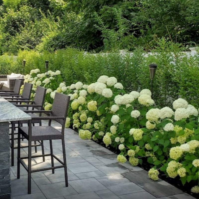 DESIGN AND BUILD LANDSCAPE Updated October 2024 164 Photos & 13