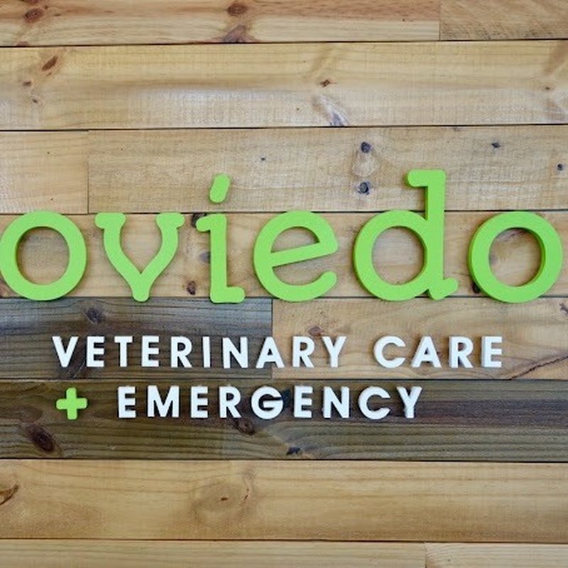 Oviedo Veterinary Care And Emergency Reviews