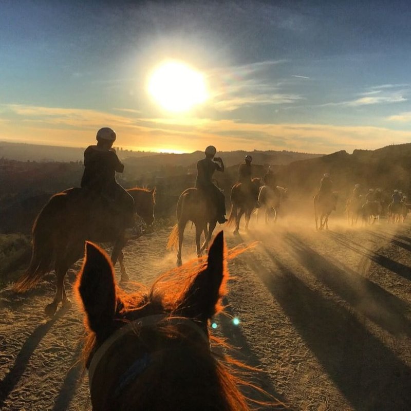 Sunset Ranch Hollywood Stables - Updated May 2026 - 1553 Photos & 973 ...