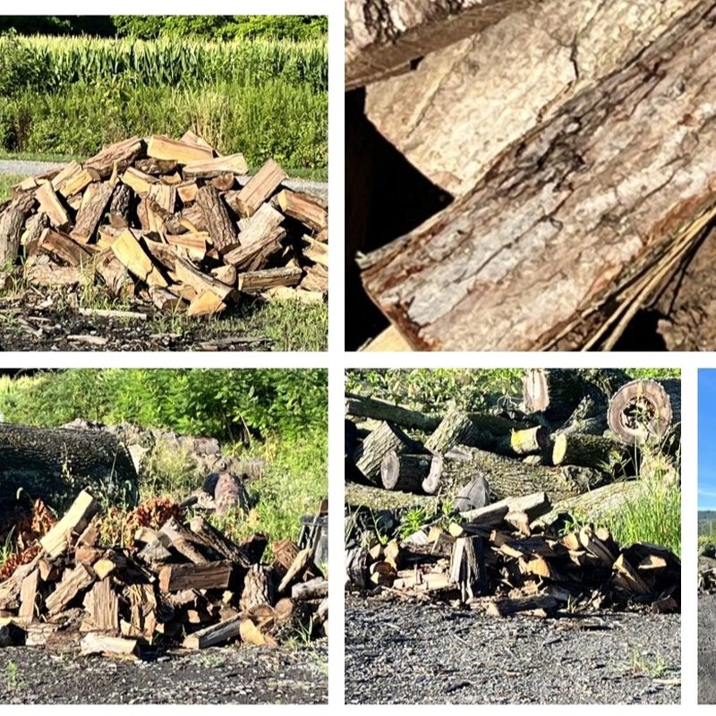 MONN’S FIREWOOD/MONN’S LOGGING Updated August 2024 75 Photos 1246