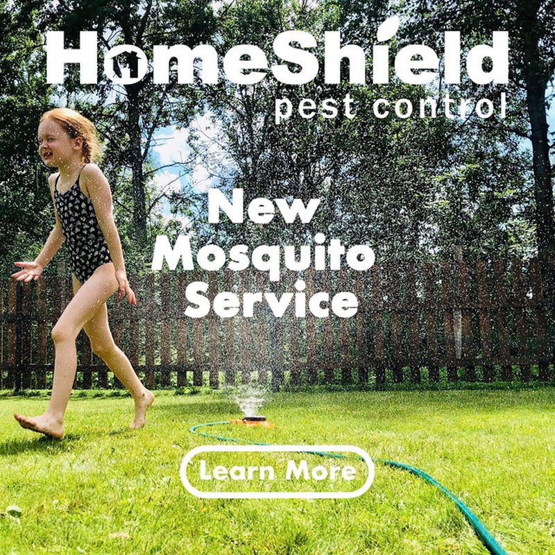 HOMESHIELD PEST CONTROL Updated October 2024 155 Photos & 54
