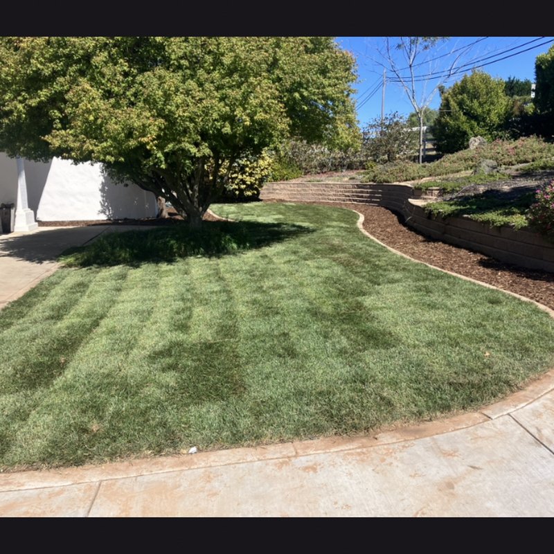 HERNANDEZ LANDSCAPE & MAINTENANCE - Updated May 2026 - 110 Photos & 33