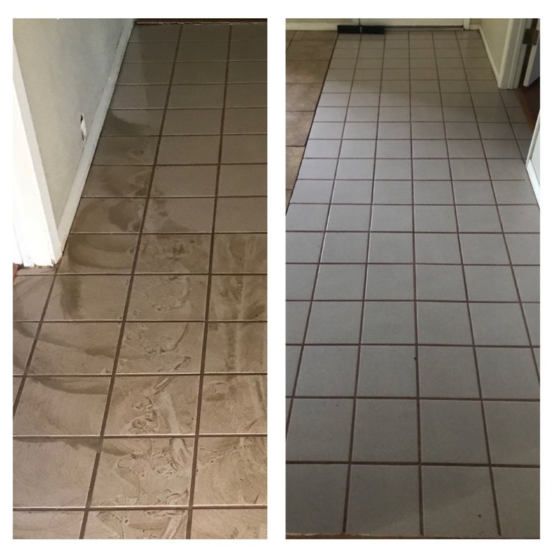 GREEN TREE STEAMERS Updated September 2024 22 Photos & 19 Reviews