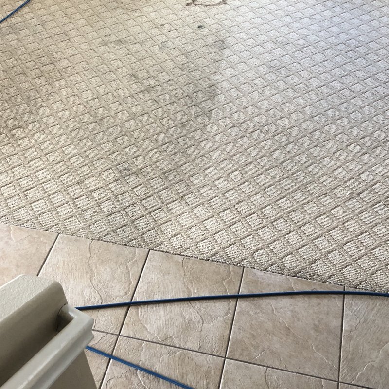 SERVICENINJAZ BY PETRICHOR Updated September 2024 40 Photos & 75