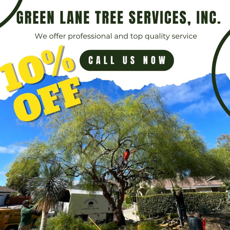 GREEN LANE TREE SERVICE Updated September 2024 92 Photos & 72
