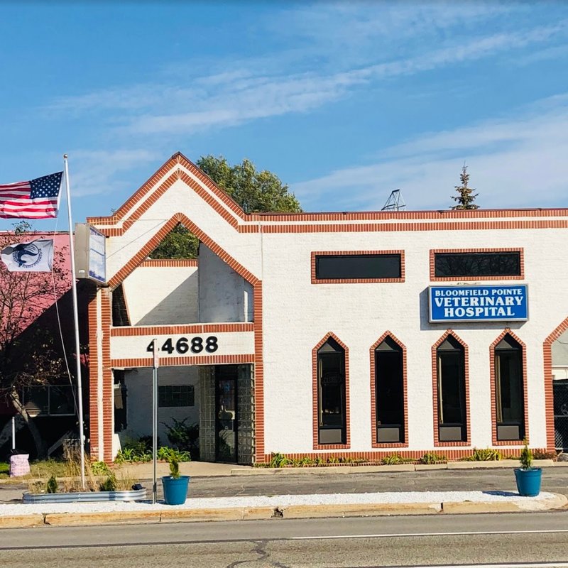 BLOOMFIELD POINTE VETERINARY HOSPITAL Updated September 2024 44688 Woodward Ave, Pontiac