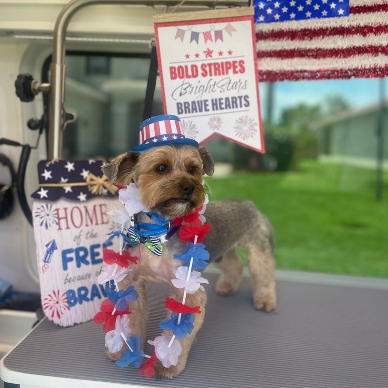 FURRYLAND MOBILE PET GROOMING Updated September 2024 23 Photos