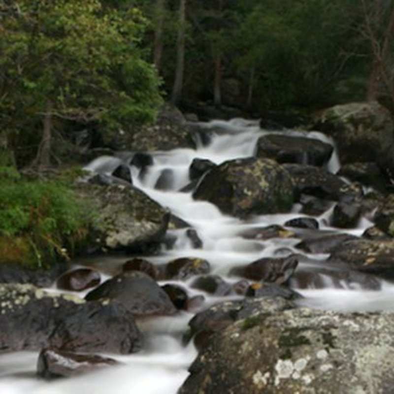 BE A TREE CREMATION 2970 W Severn Pl, Denver, Colorado Cremation Services Phone Number Yelp