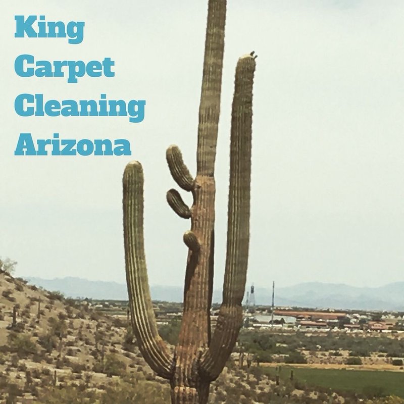 THE KING CARPET CLEANING 437 Photos & 11 Reviews Avondale, Arizona