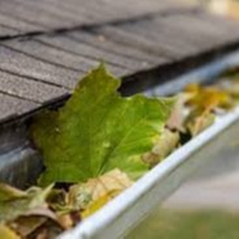 STL GUTTERS AND MORE Request a Quote 11 Photos Florissant