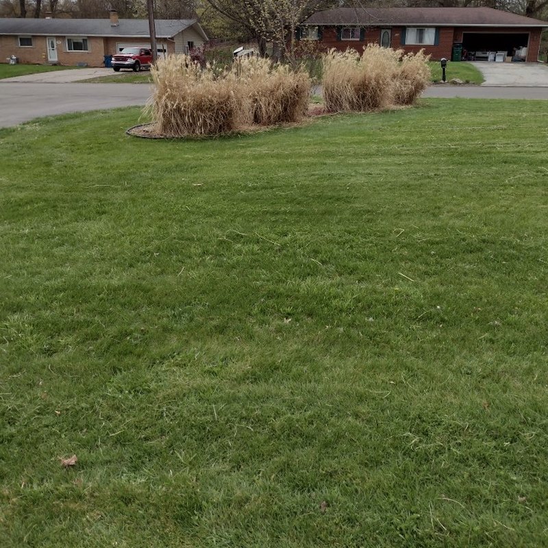 BRAD’S LAWN SERVICES Updated October 2024 27 Photos 177 Grand