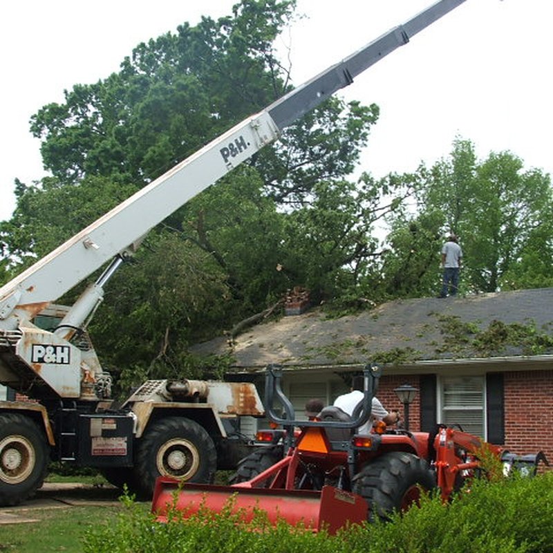 SANDERS TREE & DEBRIS REMOVAL Updated July 2024 3465 Walnut Grove Rd, Memphis, Tennessee