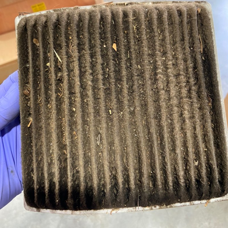 SIMS AUTOMOTIVE REPAIR Updated July 2024 269 Photos 801 Leonhard