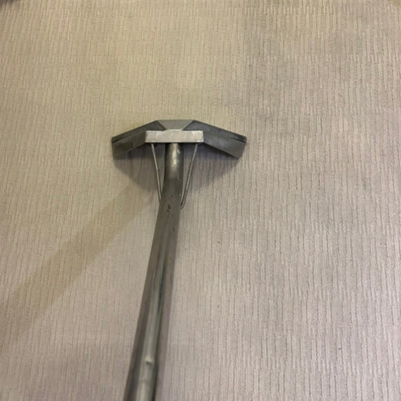 SPECIAL CARE CARPET & UPHOLSTERY CLEANING Updated September 2024 31