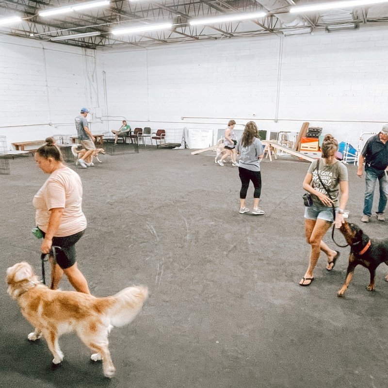 THE GOOD DOG YORKTOWN Updated September 2024 18 Photos 201