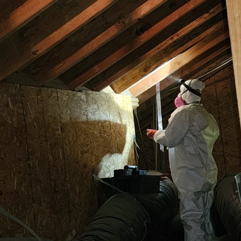 LA RODENTS CONTROL - Updated March 2026 - 58 Photos & 38 Reviews ...