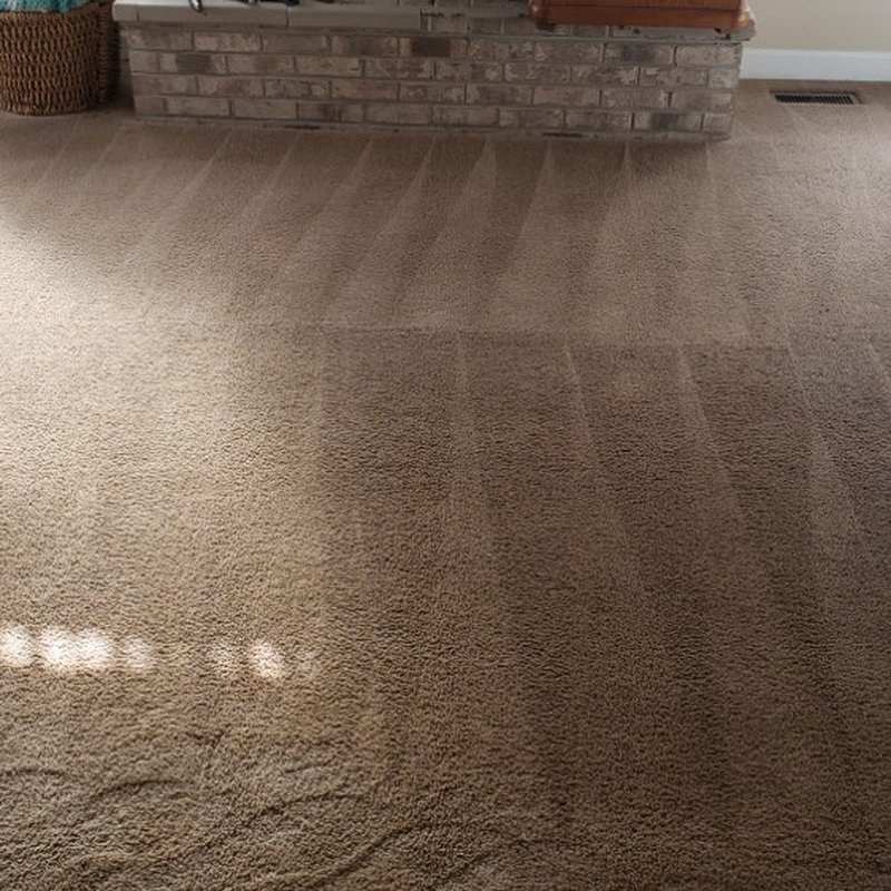 A2Z ACTION CARPET CLEANING & REPAIRS Updated October 2024 35 Photos