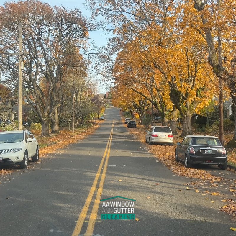 AA WINDOW AND GUTTER CLEANING - Updated December 2024 - 64 Photos & 434