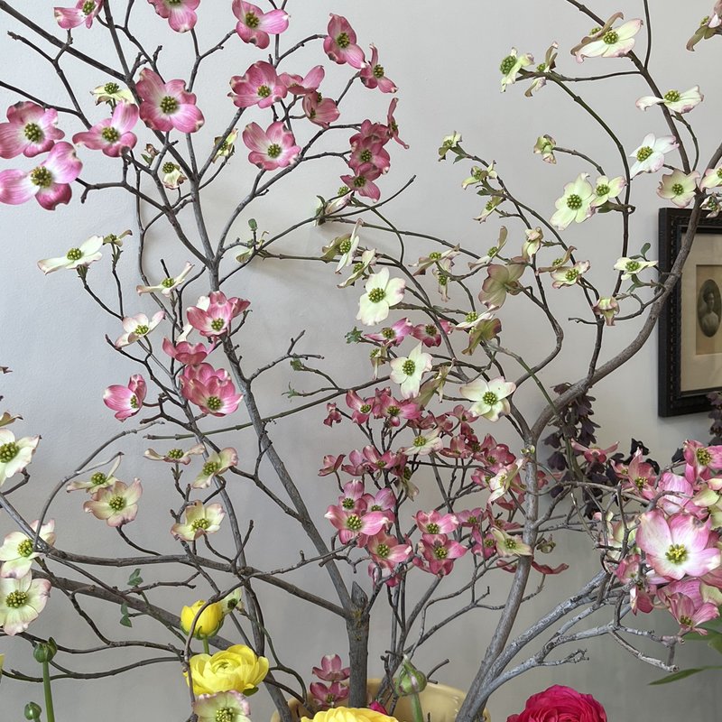 FRESHLY CUT FLORIST Updated September 2024 47 Photos & 45 Reviews
