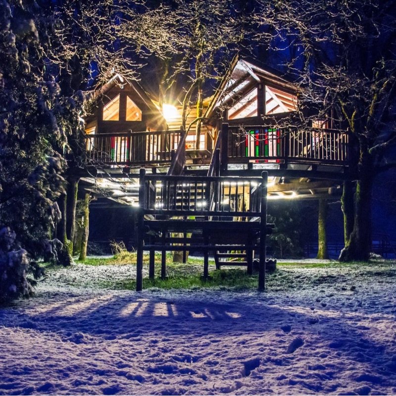 OUT’N’ABOUT TREEHOUSE TREESORT Updated October 2024 298 Photos & 84