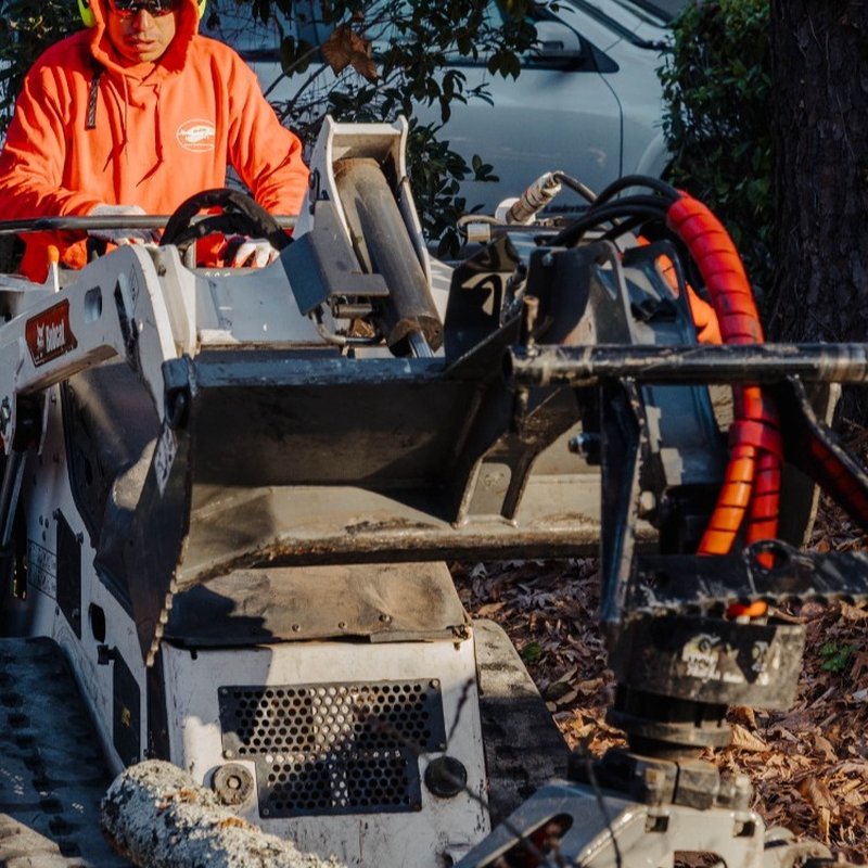 NORTHSIDE TREE PROFESSIONALS - Updated June 2026 - 119 Photos & 60 ...
