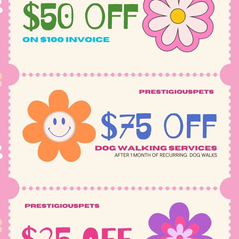 Spring Fling Special! 🌻