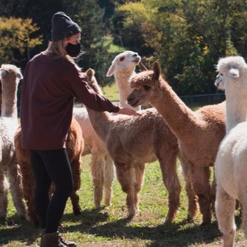SUGARS BRIDGE FARM 31 Photos 839 Sugars Bridge Rd, West Chester