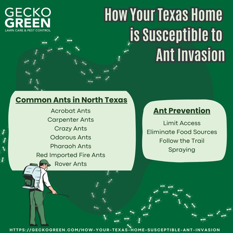 GECKO GREEN LAWN CARE & PEST CONTROL Updated May 2024 Yelp