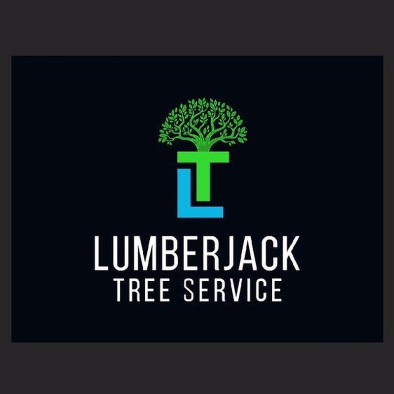 LUMBERJACK TREE SERVICE 44 Photos & 15 Reviews Dallas, Texas Tree