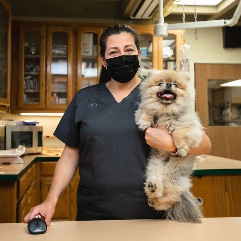 HAMILTON ANIMAL HOSPITAL Updated October 2024 94 Photos & 192 Reviews 21552 Brookhurst St