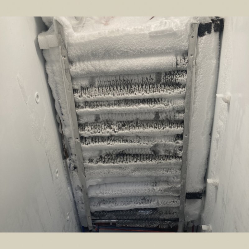 INTELSERVICES Updated September 2024 40 Photos 1601 Firewheel Dr