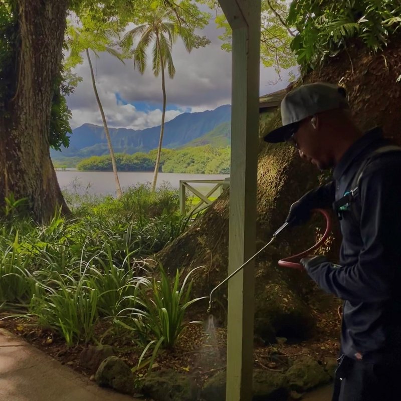 PEST TECH HAWAII Updated October 2024 78 Photos & 114 Reviews 2007A Waterhouse St