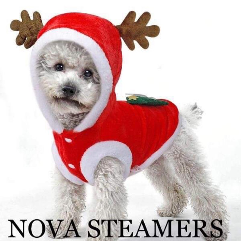 NOVA STEAMERS Updated September 2024 327 Photos & 65 Reviews