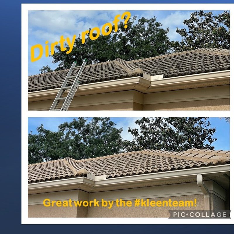 GORILLA KLEEN Updated August 2024 28 Photos & 12 Reviews 2036