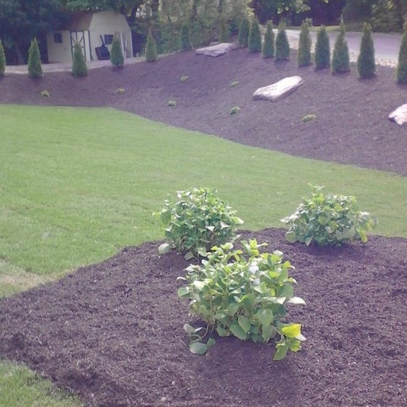 W PETERS ENTERPRISES Updated September 2024 12 Photos 30 E Kirmar Ave, Nanticoke