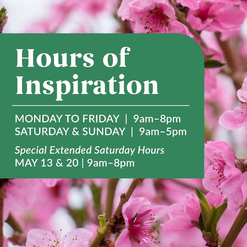 HEEMAN’S Updated October 2024 35 Photos & 12 Reviews 20422