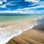 Photo of Hawaiian H.