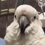 Photo of Laura M.