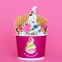Photo of Menchie's H.