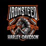 Photo of Iron Steed H.