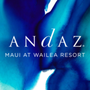 Photo of Andaz M.