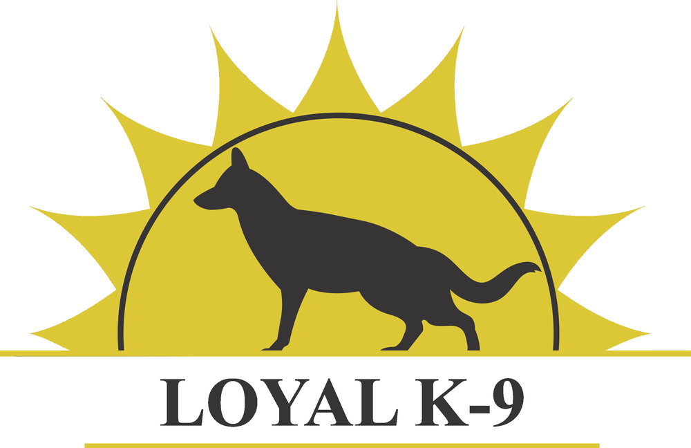 loyal k9 dog training