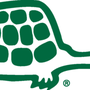 Photo of Greene Turtle