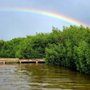 Photo of Mitchell T.